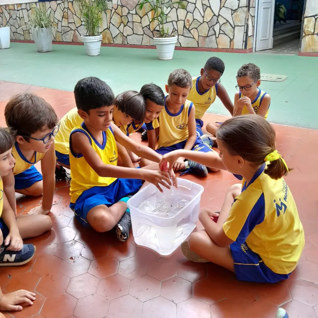 WhatsApp Image 2025-03-07 at 20.33.43