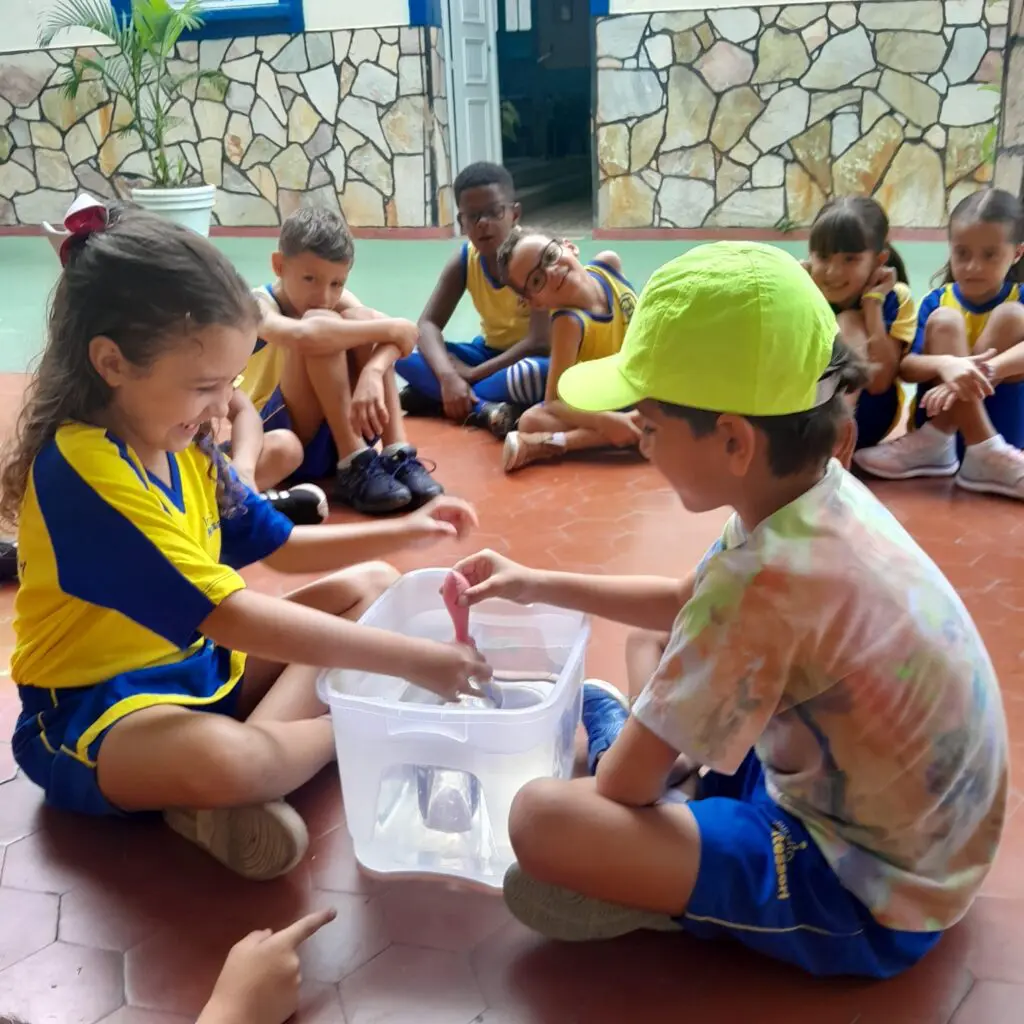 WhatsApp Image 2025-03-07 at 20.33.48