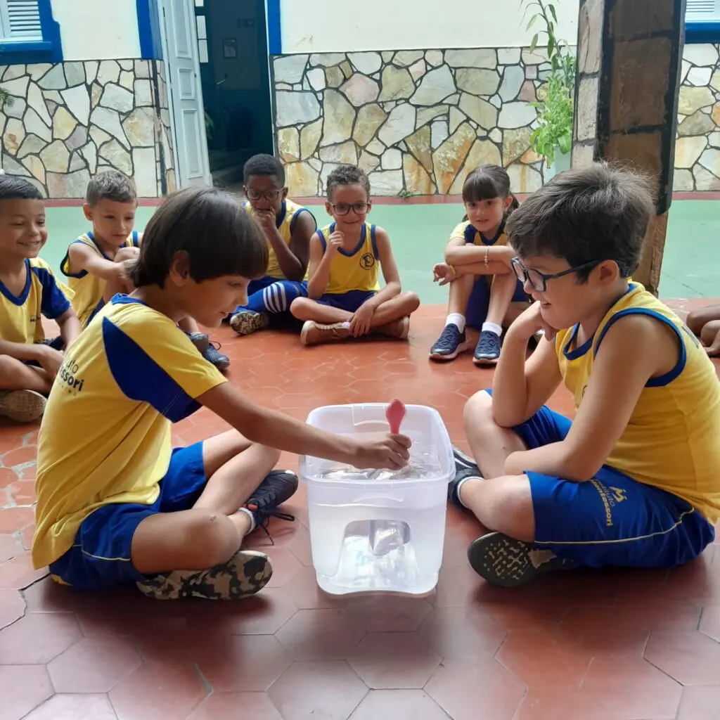 WhatsApp Image 2025-03-07 at 20.33.54