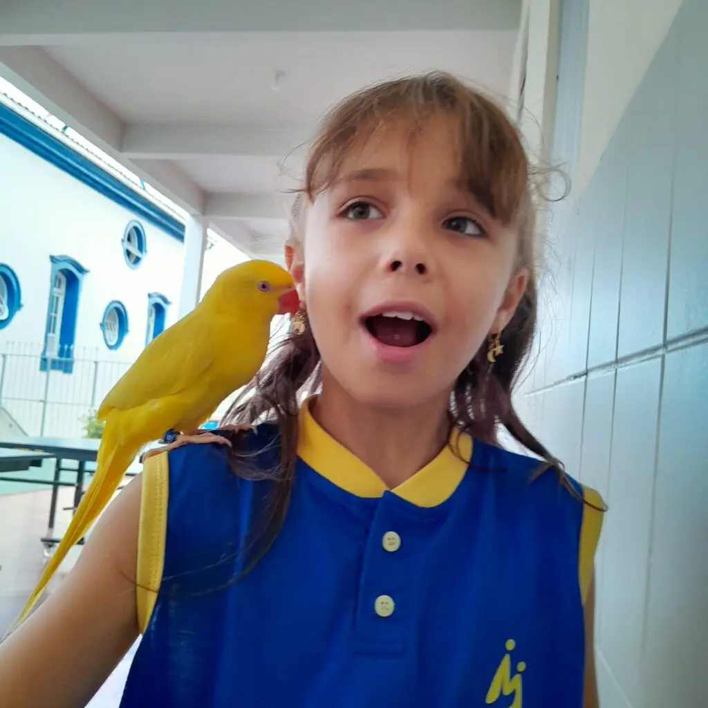 WhatsApp Image 2025-04-01 at 21.54.58