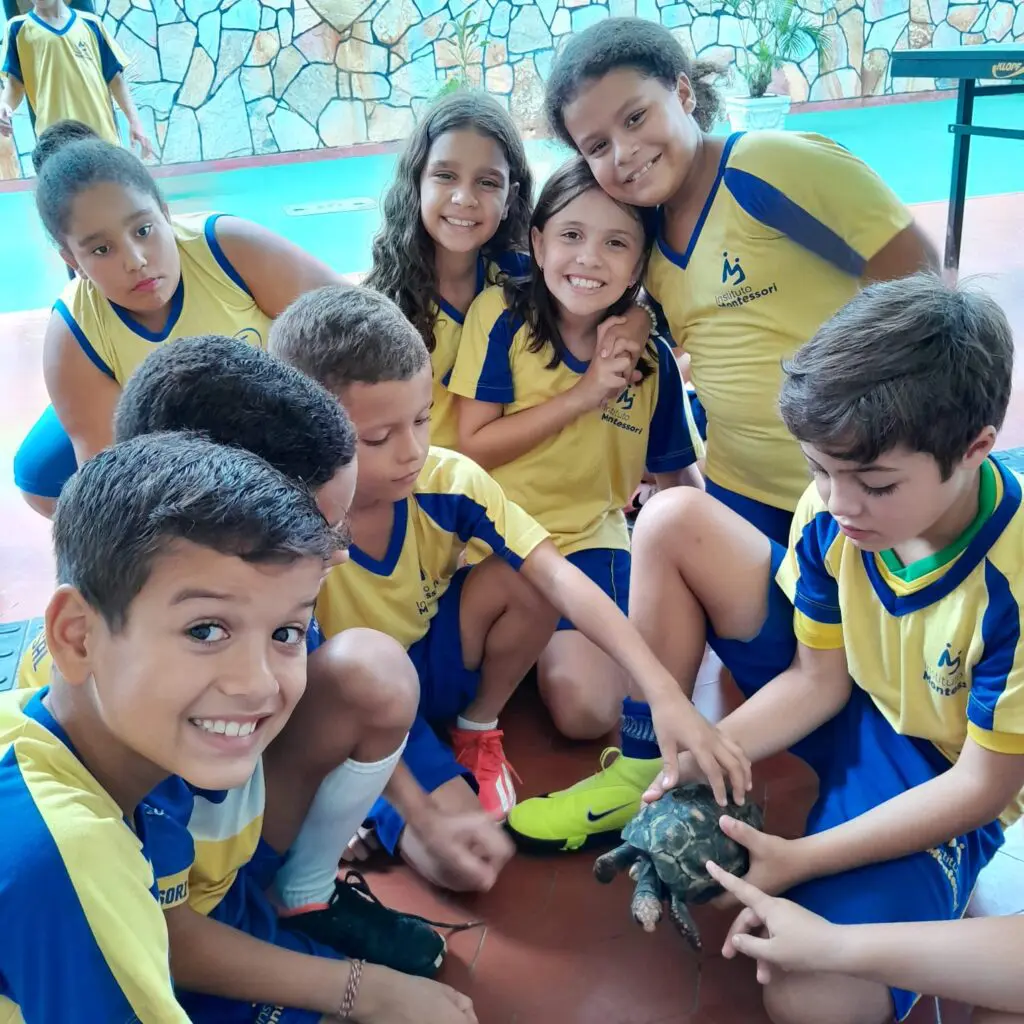 WhatsApp Image 2025-04-01 at 21.55.01