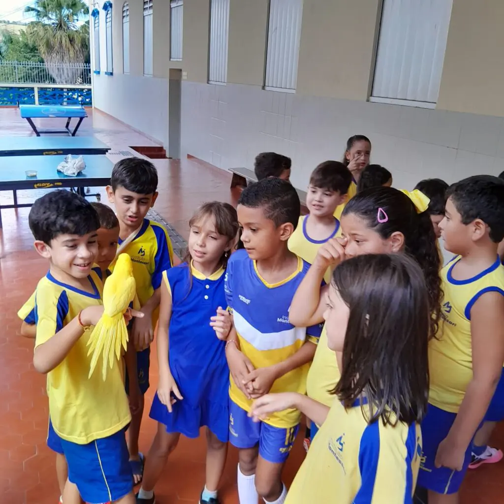 WhatsApp Image 2025-04-01 at 21.55.14