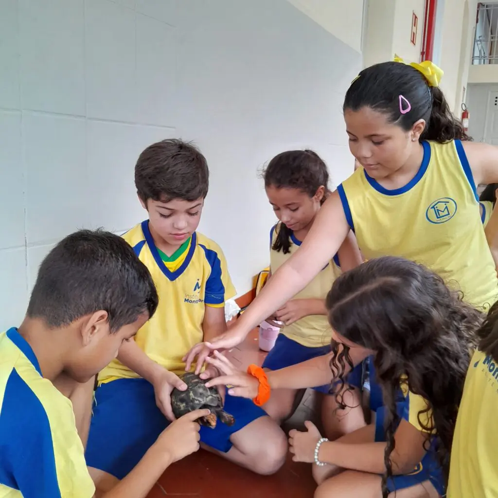 WhatsApp Image 2025-04-01 at 21.55.22