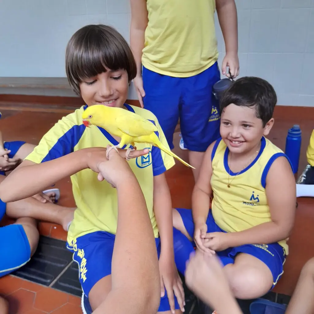 WhatsApp Image 2025-04-01 at 21.55.38