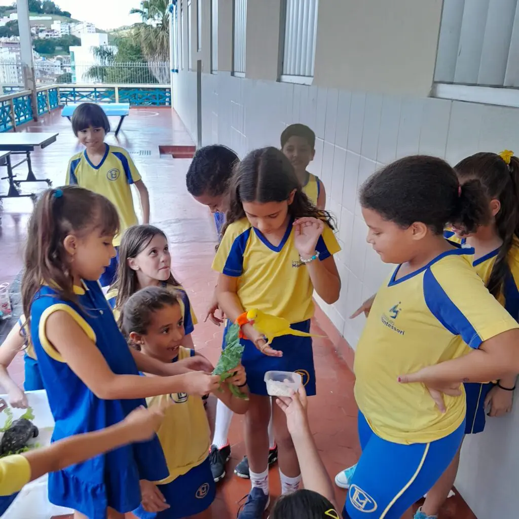 WhatsApp Image 2025-04-01 at 21.55.57