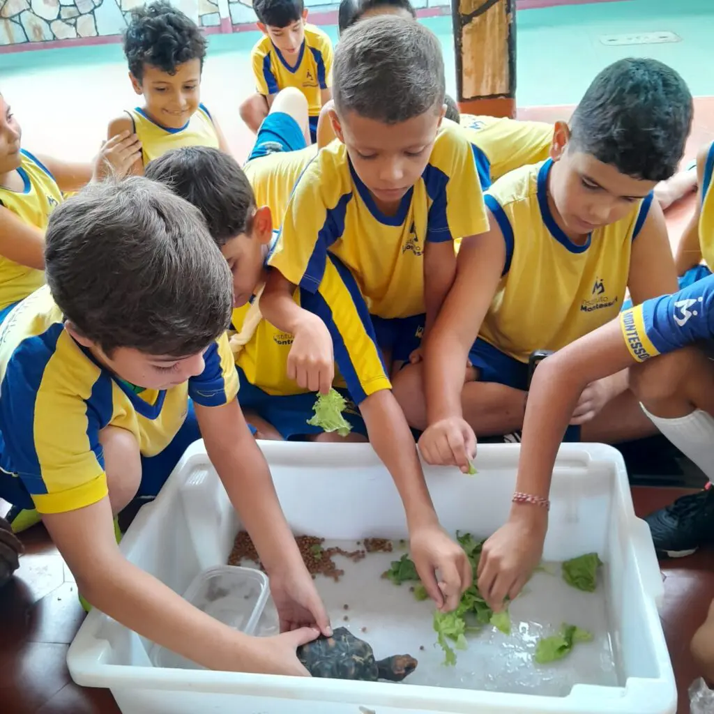 WhatsApp Image 2025-04-01 at 21.56.07