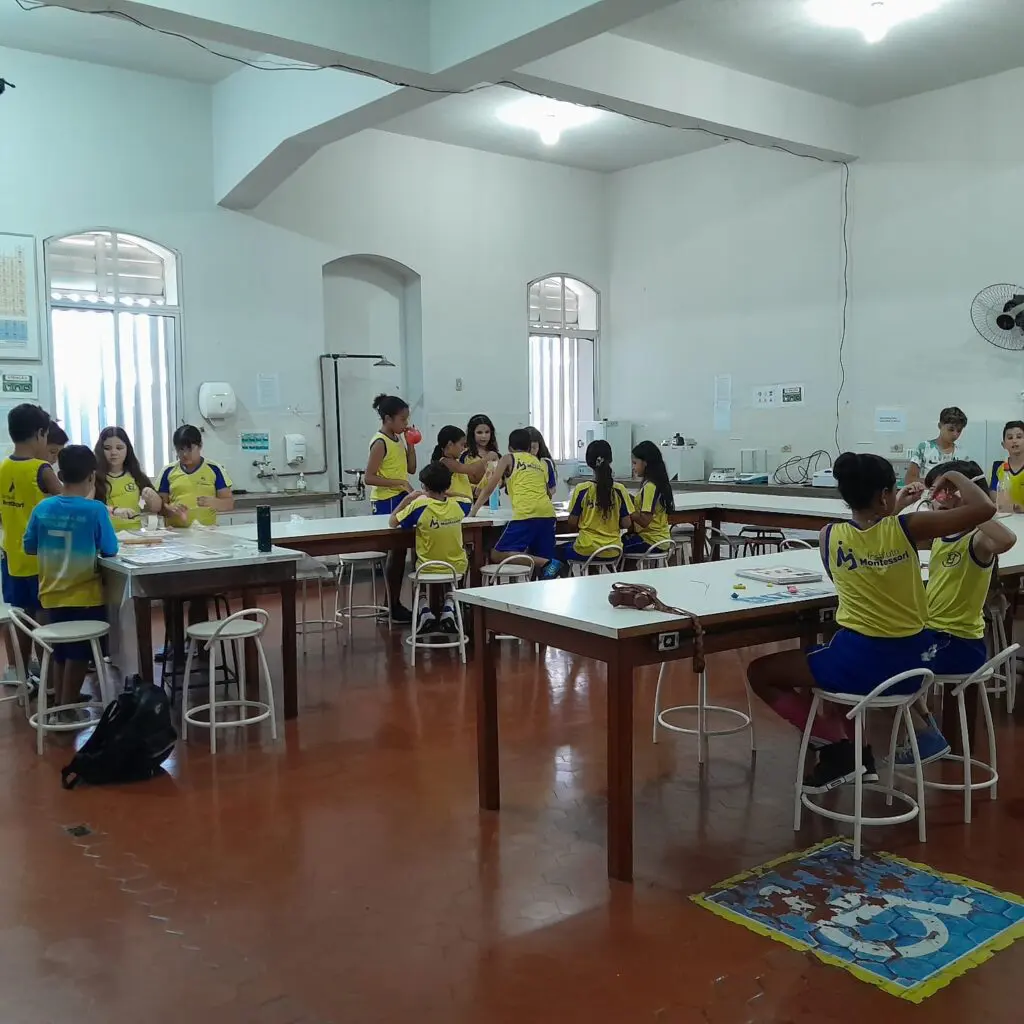 WhatsApp Image 2025-04-06 at 15.00.51