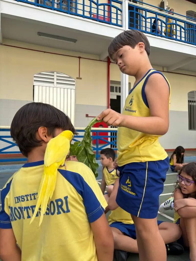 WhatsApp Image 2025-04-08 at 08.35.40 (1)