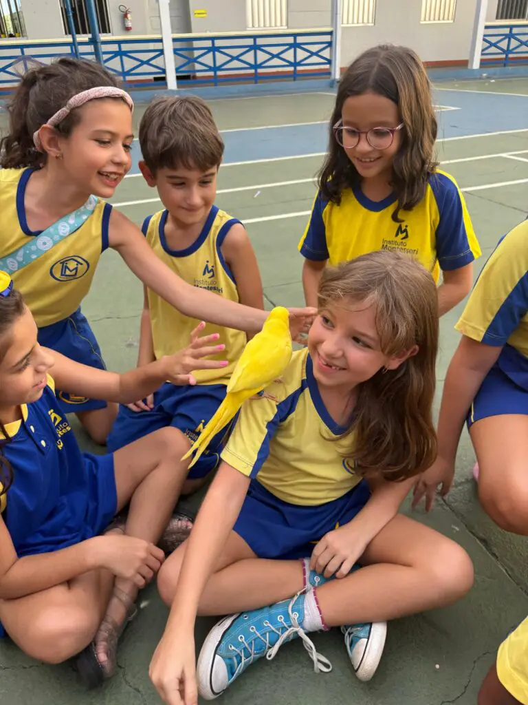 WhatsApp Image 2025-04-08 at 08.35.40 (2)