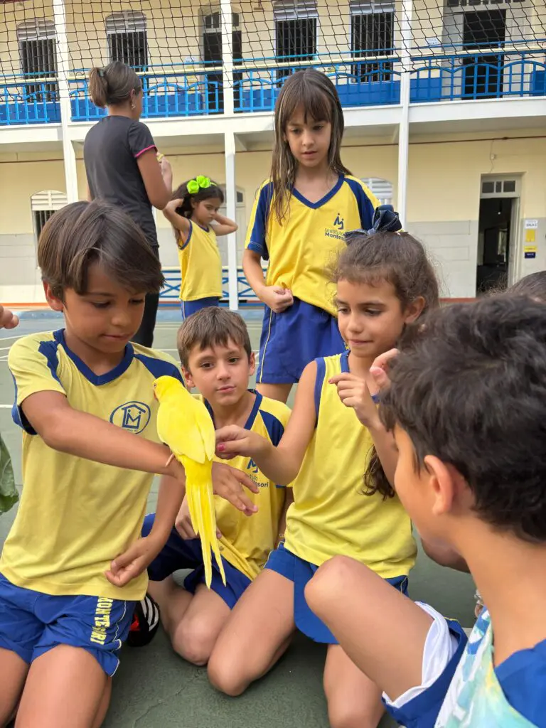 WhatsApp Image 2025-04-08 at 08.35.44 (1)