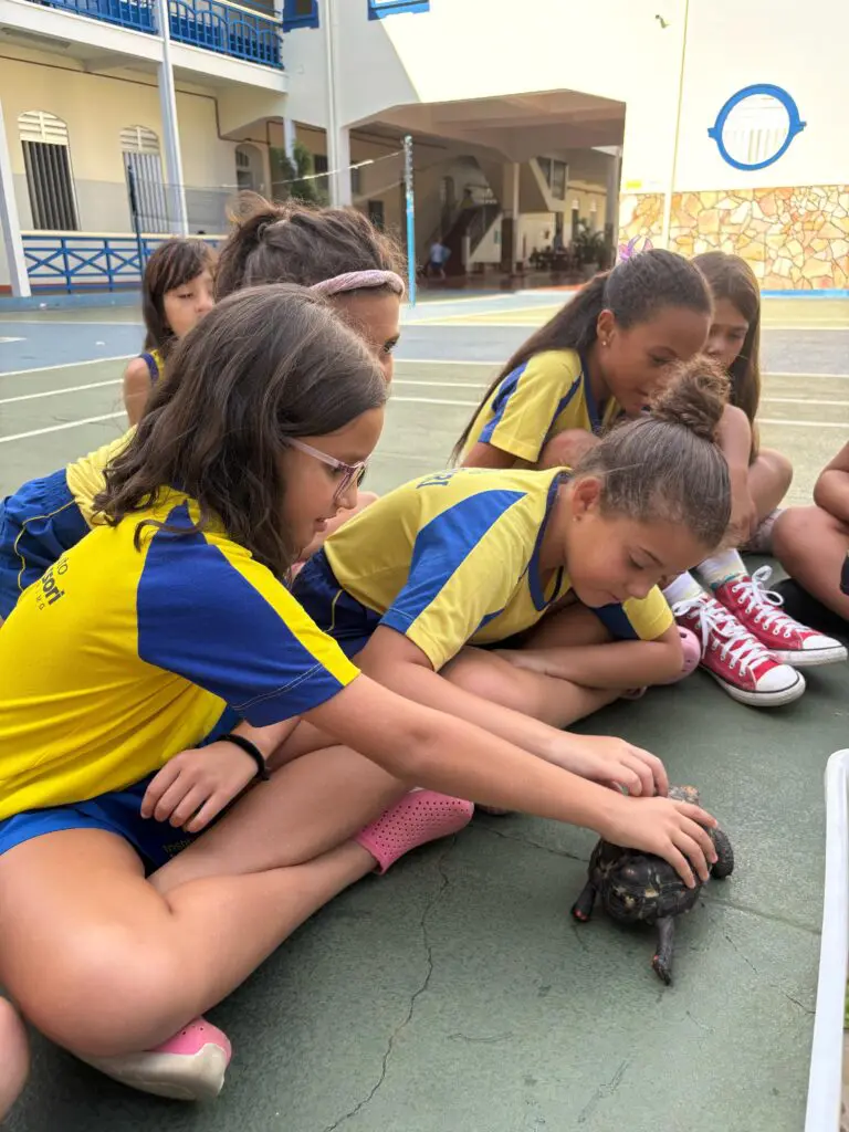 WhatsApp Image 2025-04-08 at 08.35.44