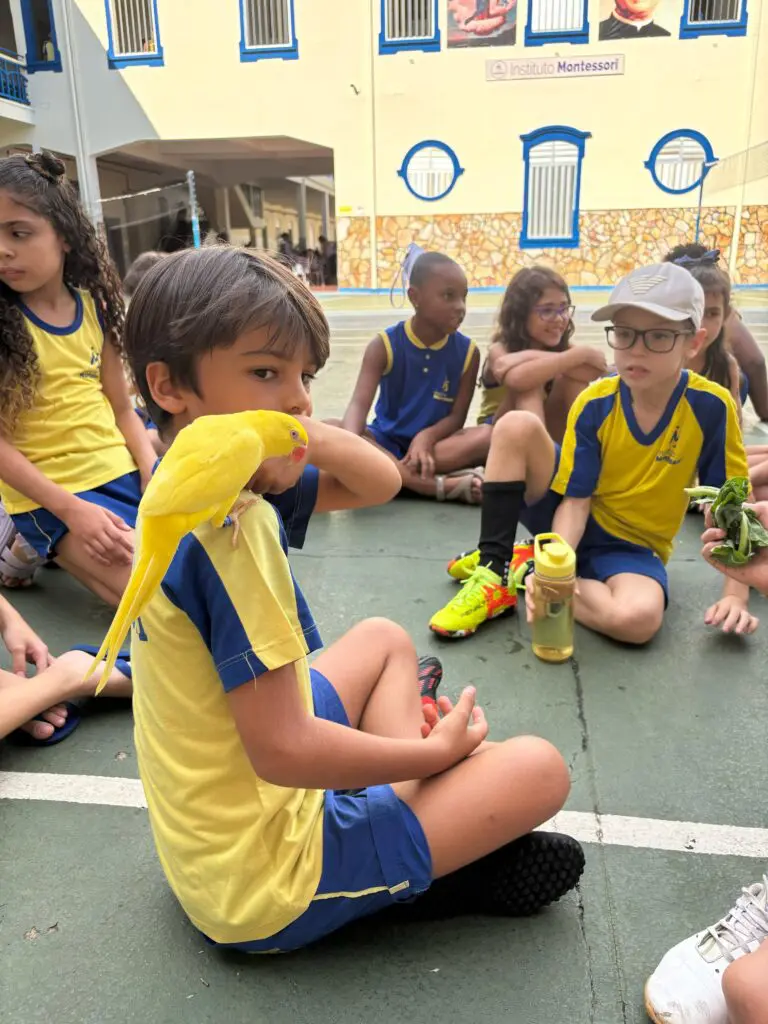 WhatsApp Image 2025-04-08 at 08.35.53