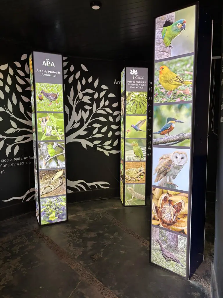 WhatsApp Image 2025-04-30 at 15.36.08 (4)