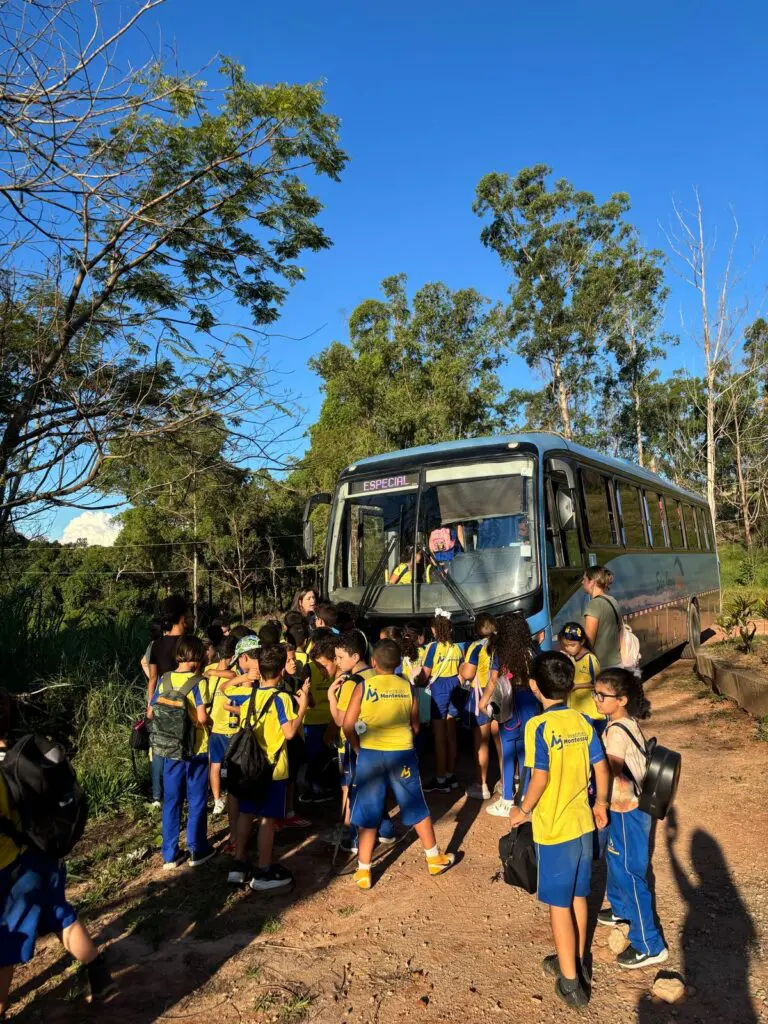 WhatsApp Image 2025-04-30 at 15.37.16