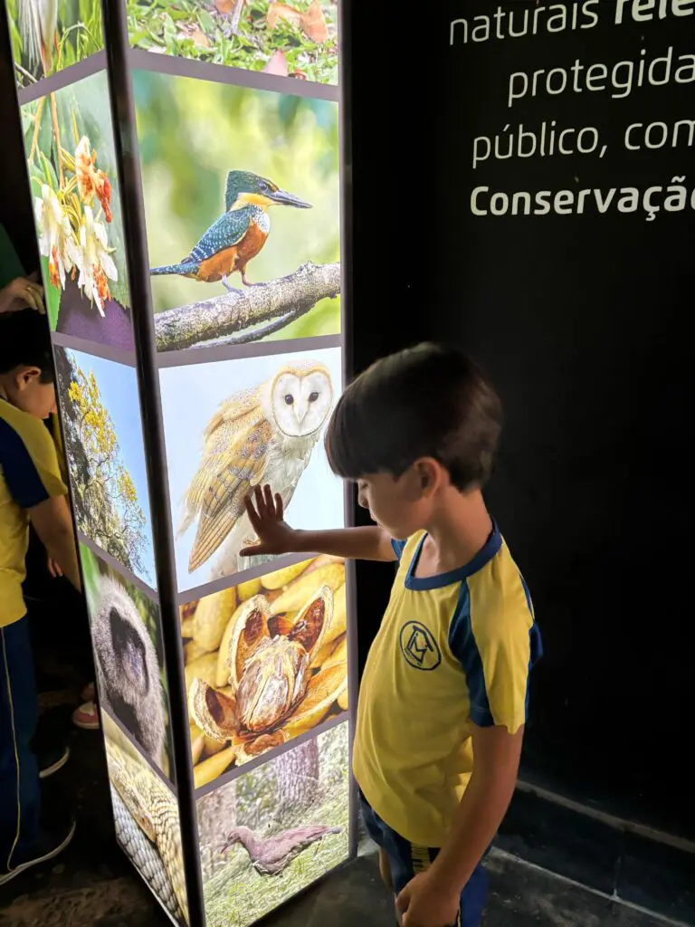 WhatsApp Image 2025-04-30 at 15.38.42