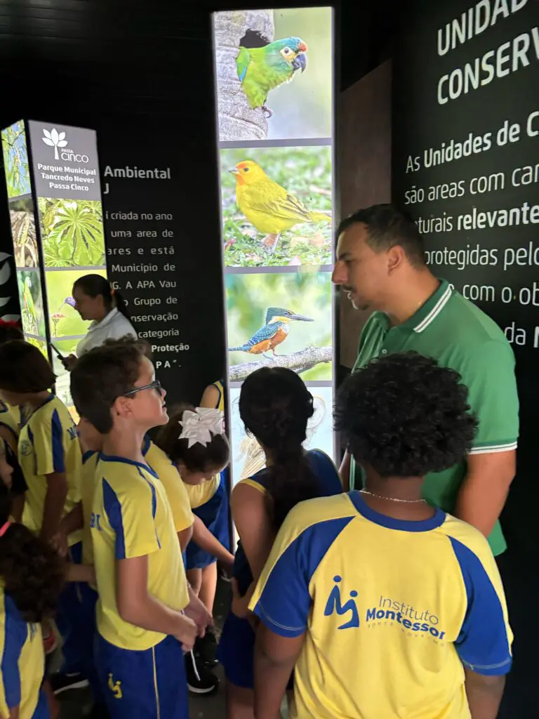 WhatsApp Image 2025-04-30 at 15.38.51