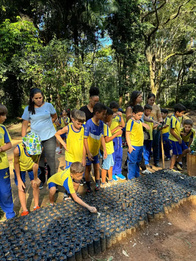 WhatsApp Image 2025-04-30 at 15.51.20