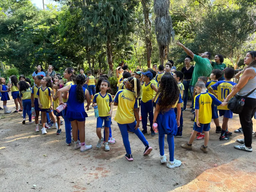 WhatsApp Image 2025-04-30 at 15.51.28