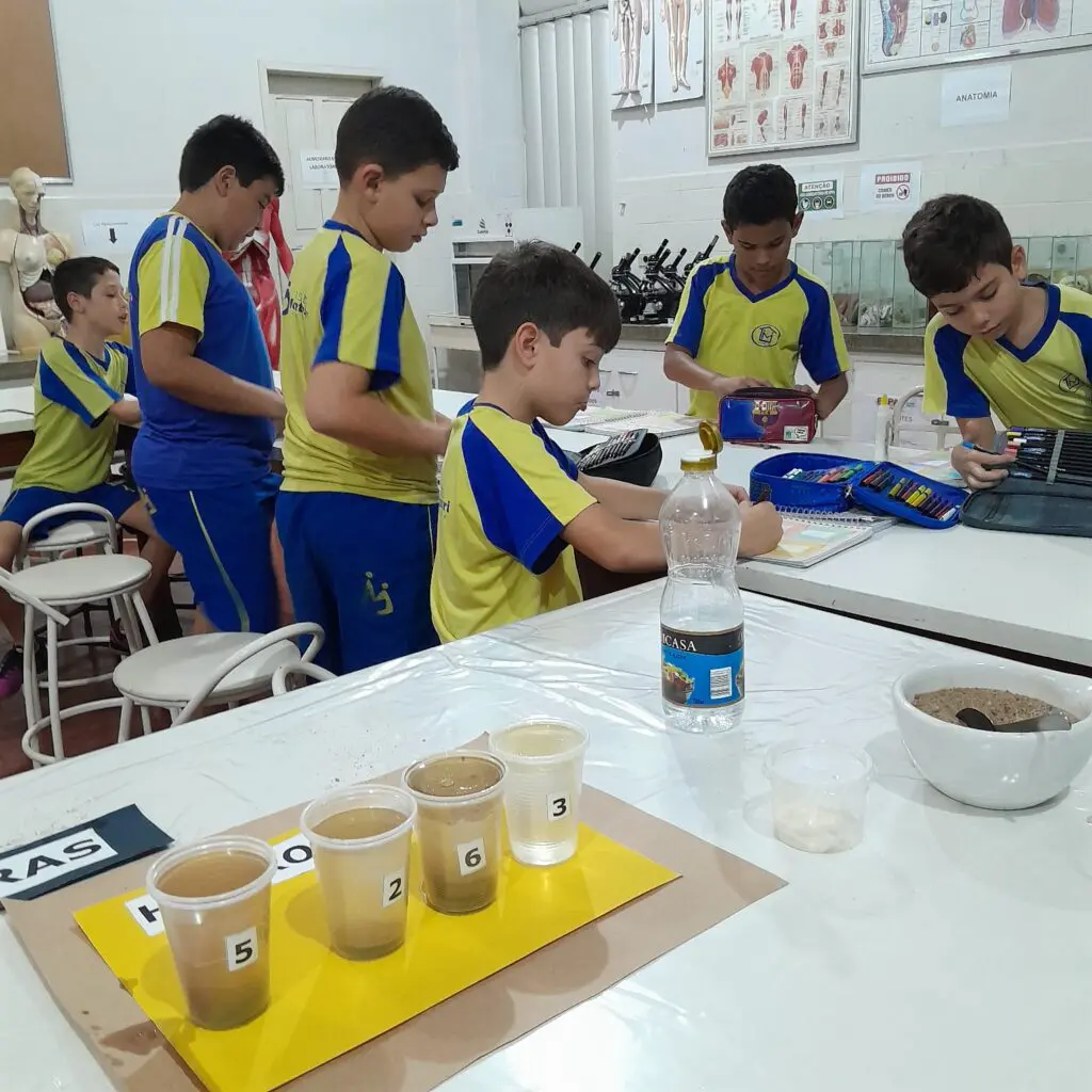 WhatsApp Image 2025-05-08 at 19.53.53