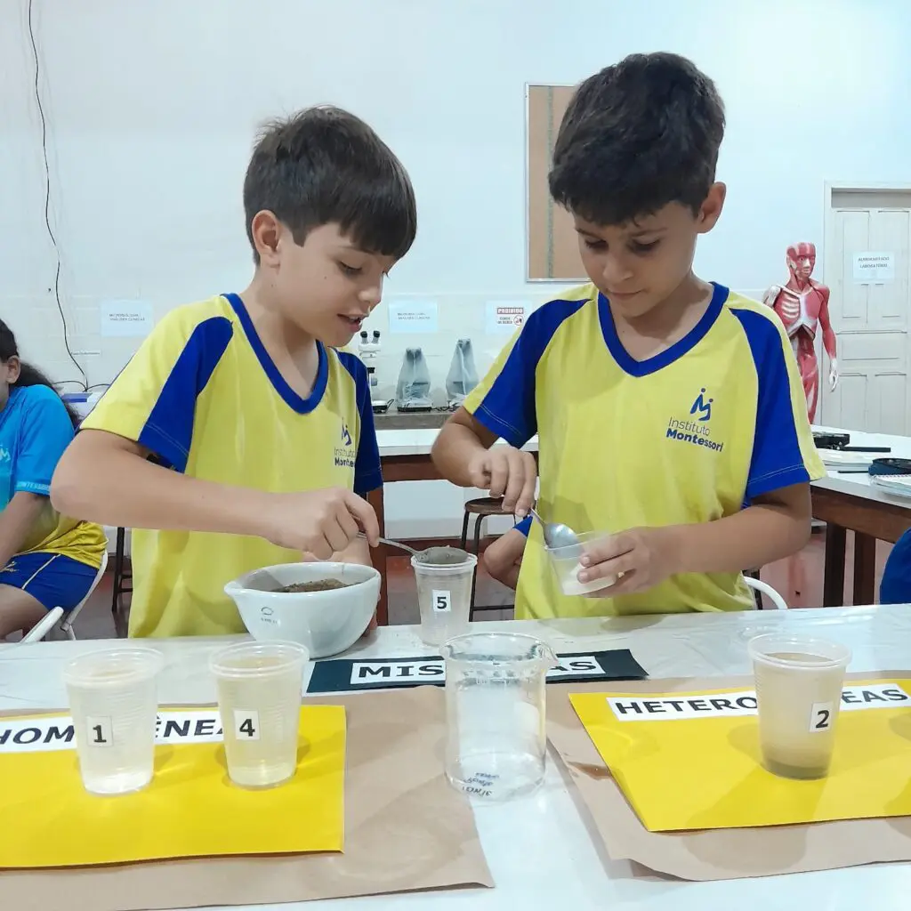 WhatsApp Image 2025-05-08 at 19.54.20