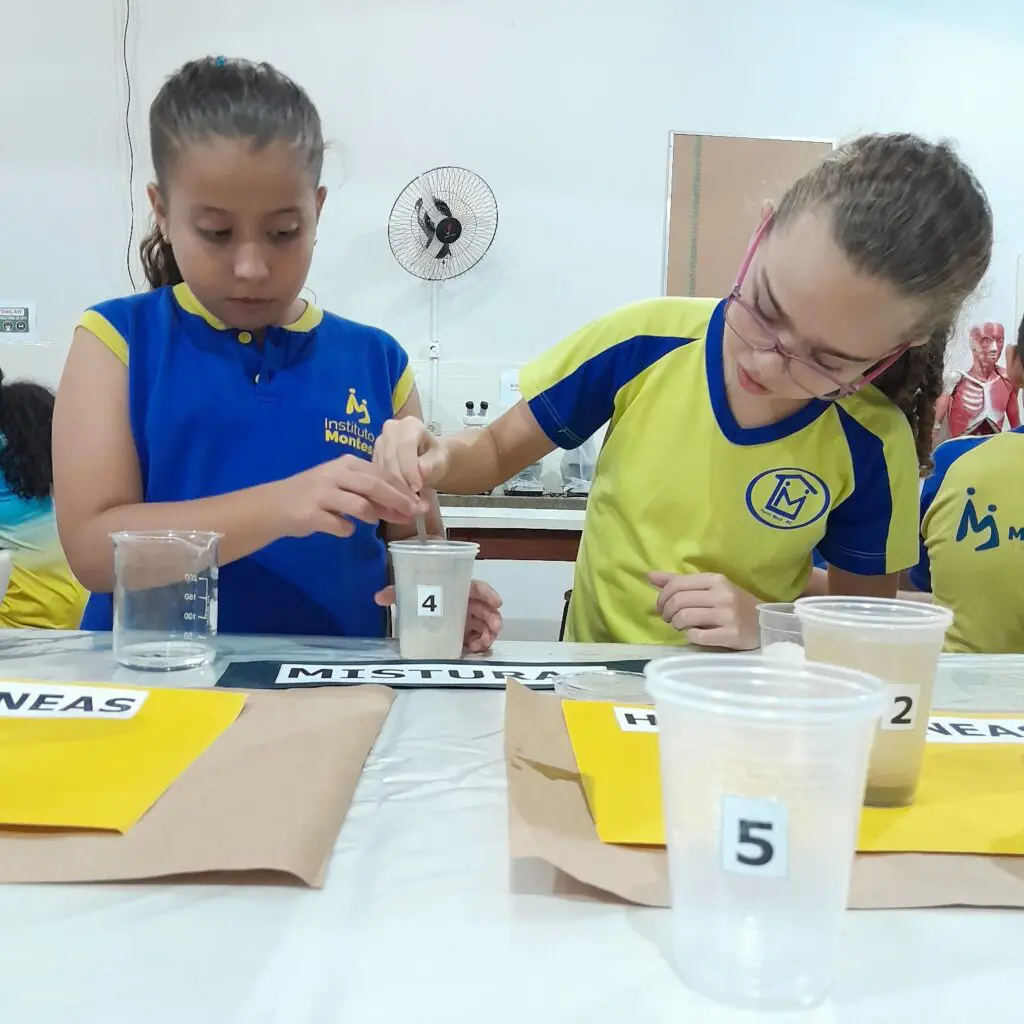 WhatsApp Image 2025-05-08 at 19.54.24