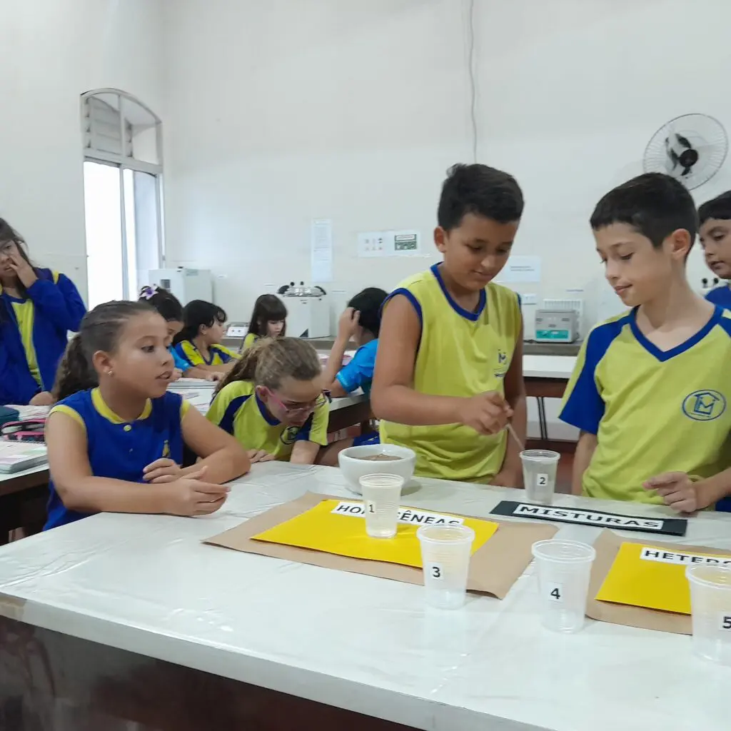 WhatsApp Image 2025-05-08 at 19.54.53