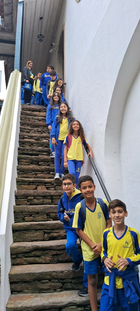 20250703_111149 Média