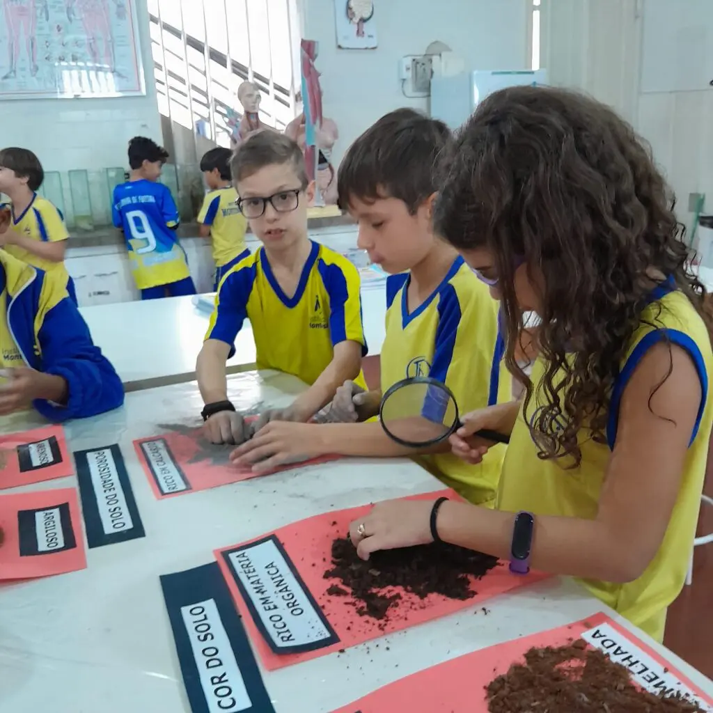 WhatsApp Image 2025-05-07 at 19.15.12