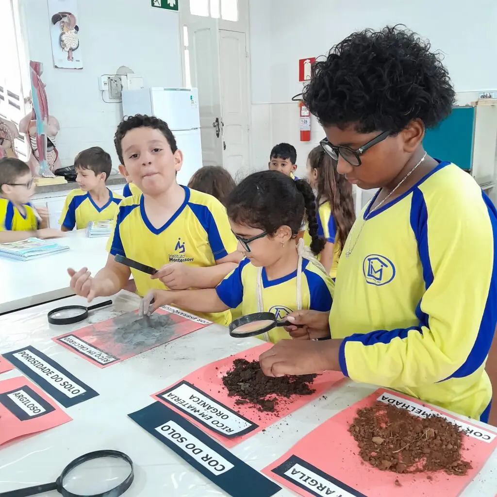 WhatsApp Image 2025-05-07 at 19.15.16