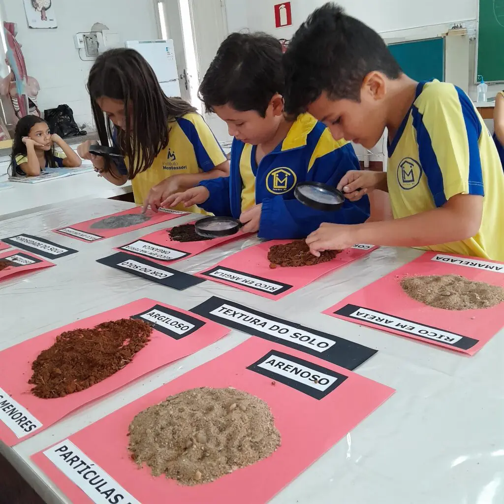 WhatsApp Image 2025-05-07 at 19.16.37