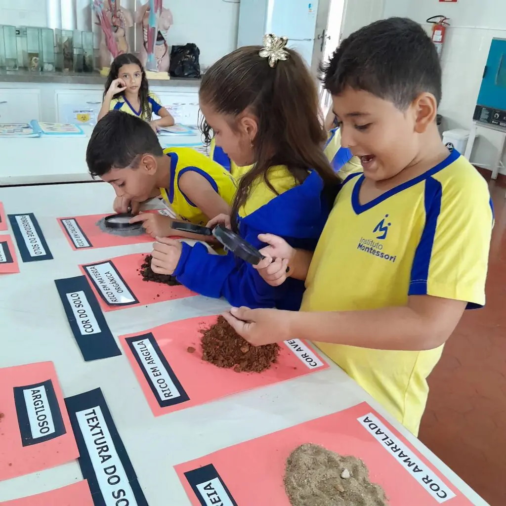 WhatsApp Image 2025-05-07 at 19.16.48