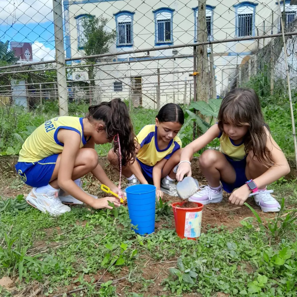 WhatsApp Image 2025-05-07 at 21.34.47 (1)