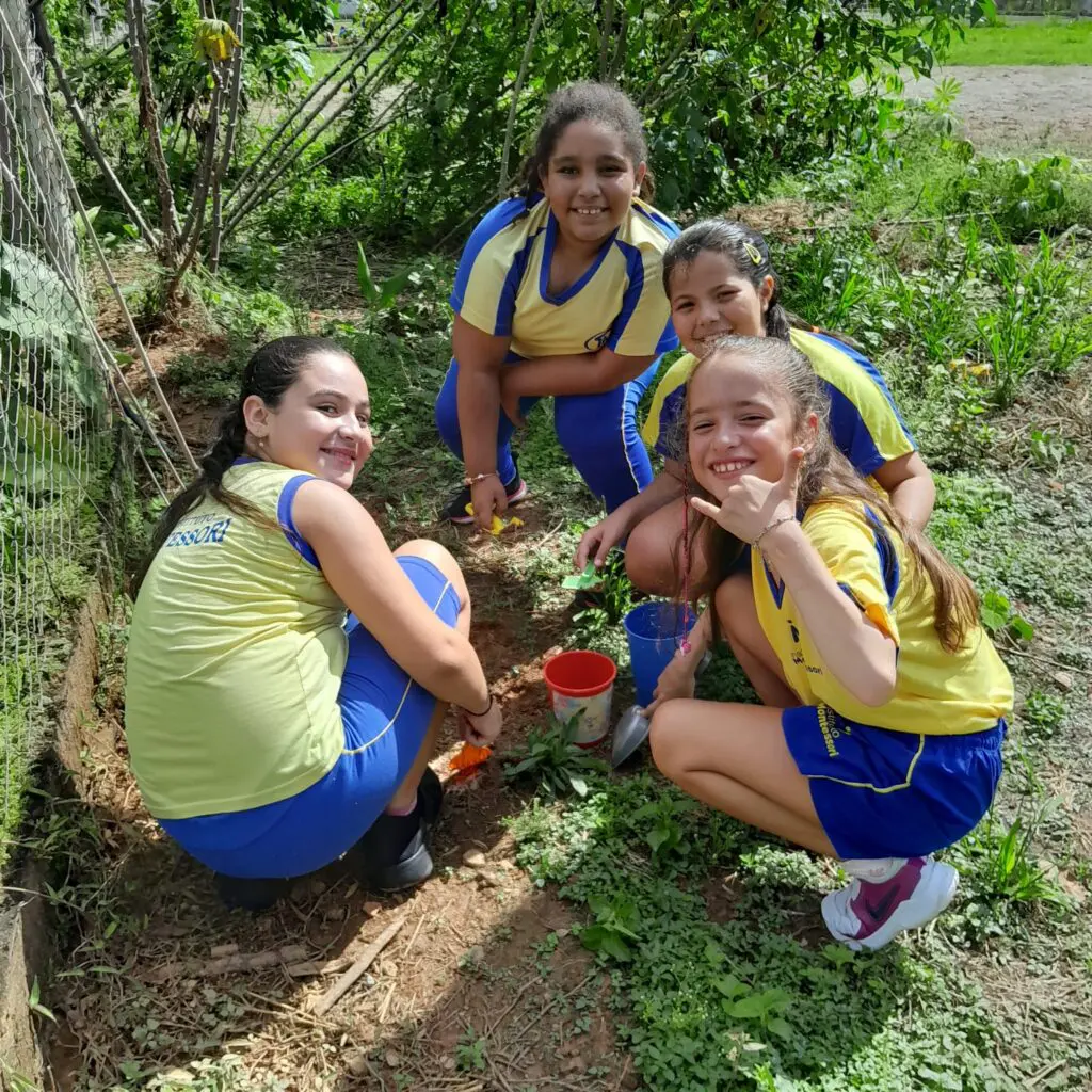 WhatsApp Image 2025-05-07 at 21.35.00 (1)