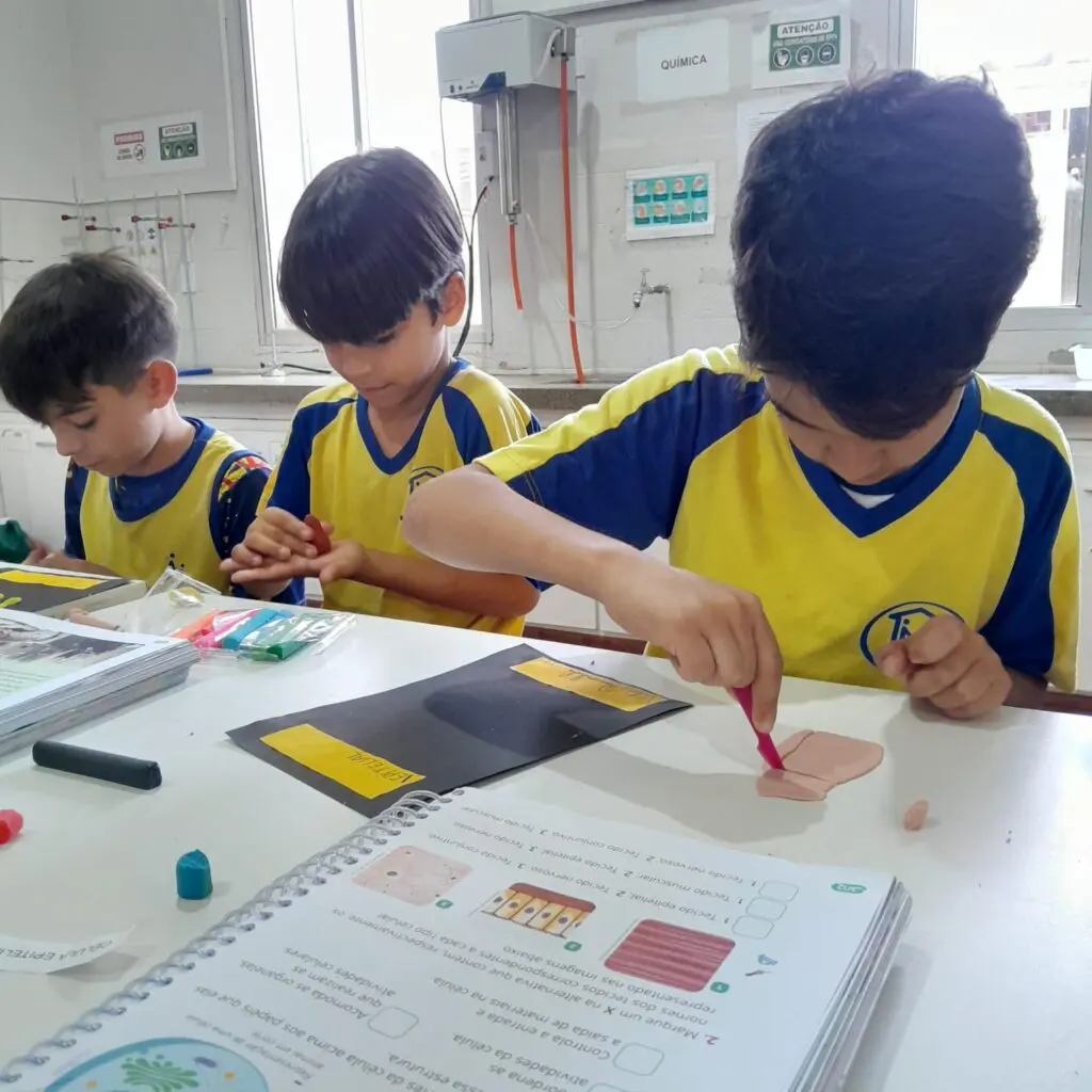 WhatsApp Image 2025-10-27 at 13.26.35 (1)