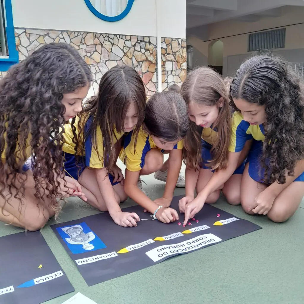 WhatsApp Image 2025-11-11 at 07.43.55