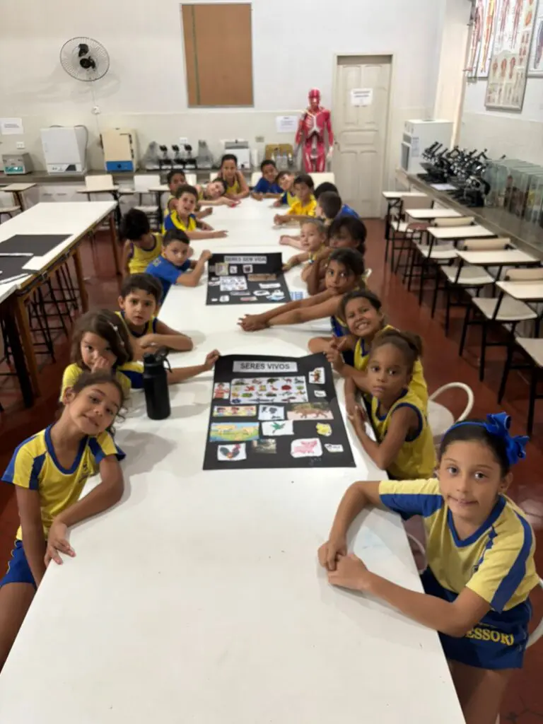 WhatsApp Image 2026-02-11 at 17.56.38