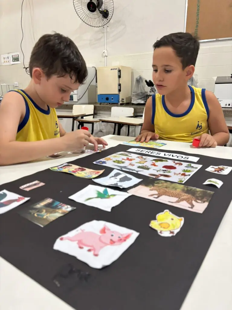 WhatsApp Image 2026-02-11 at 17.56.42