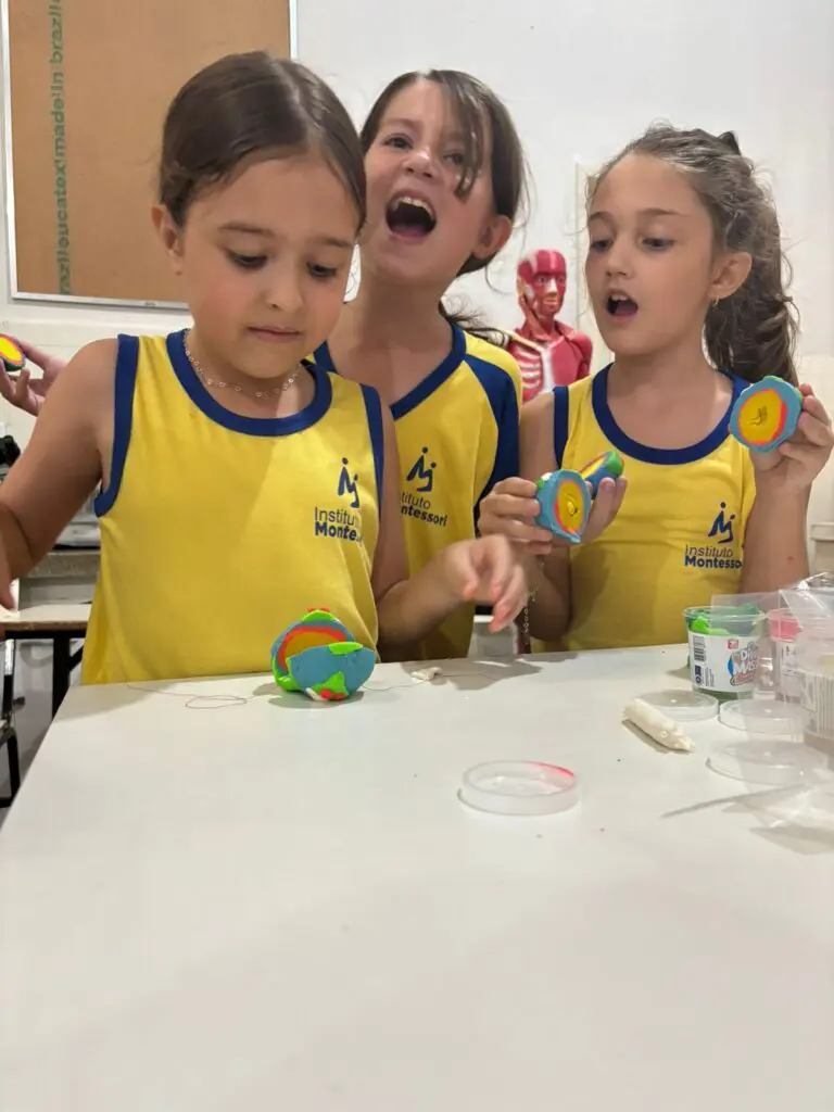 WhatsApp Image 2026-02-11 at 17.56.49 (1)