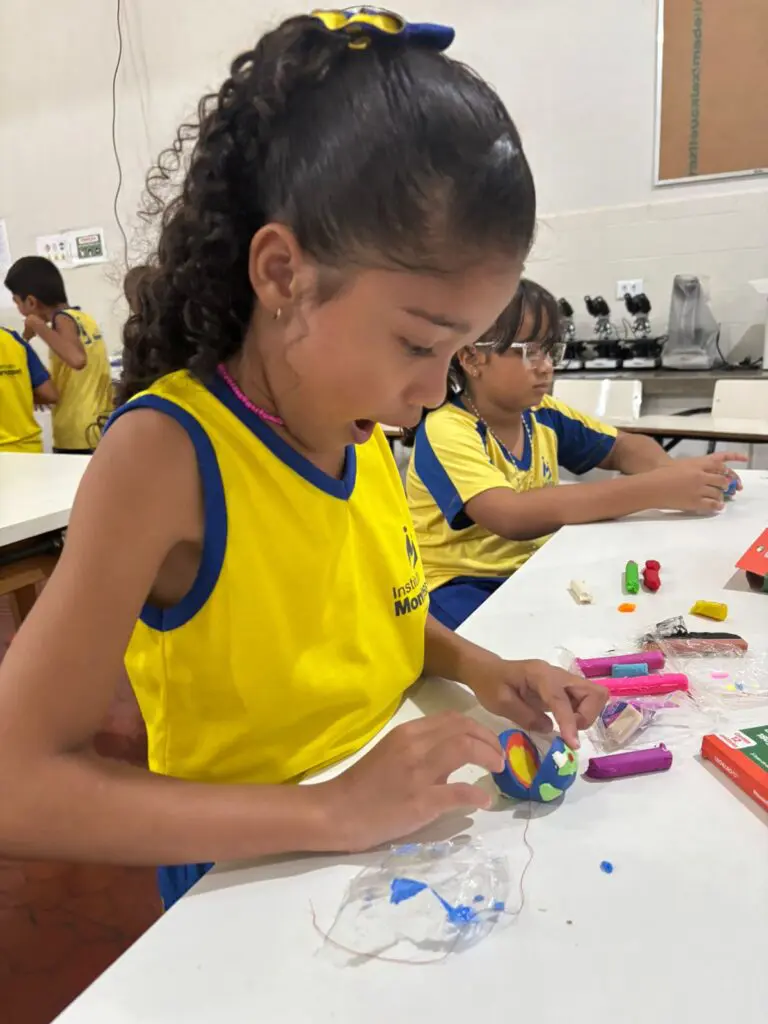 WhatsApp Image 2026-02-11 at 17.56.49