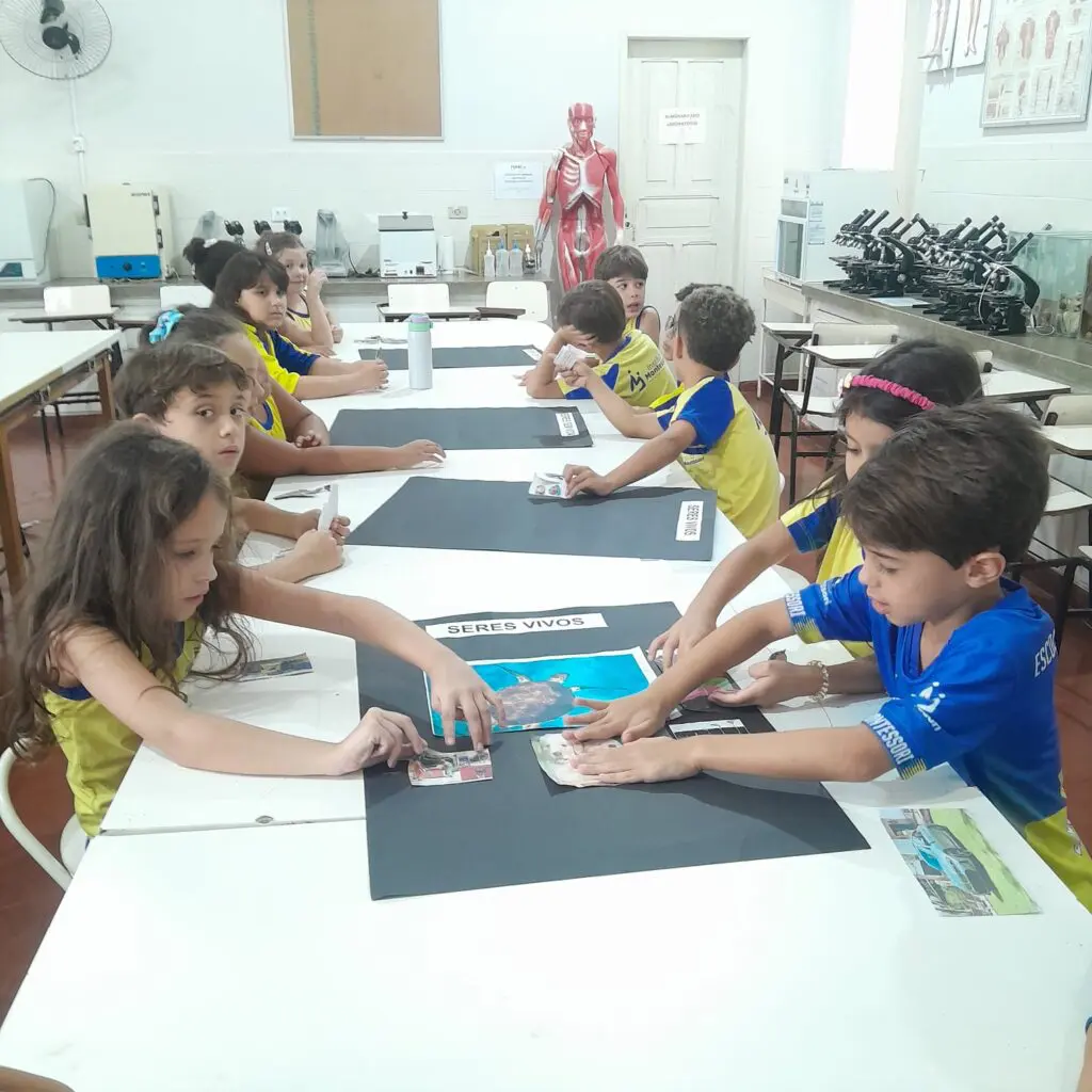 WhatsApp Image 2026-02-12 at 07.44.44 (2)