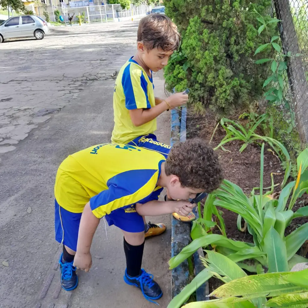 WhatsApp Image 2026-02-26 at 15.04.37