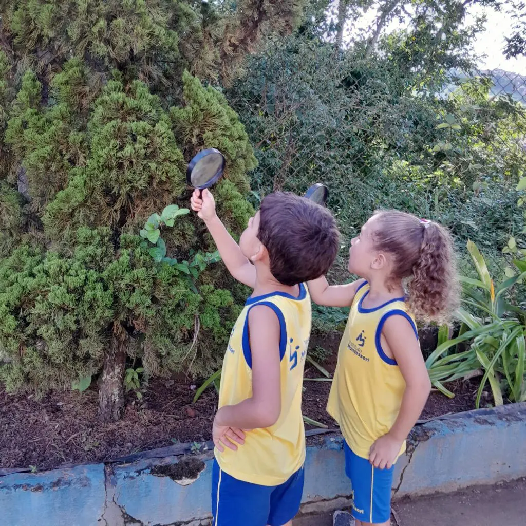 WhatsApp Image 2026-02-26 at 15.04.40 (1)