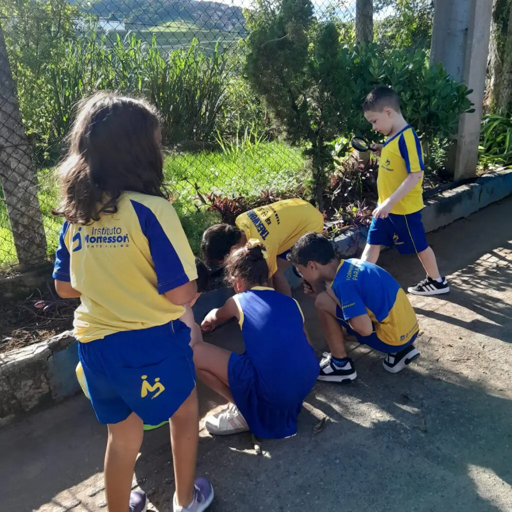 WhatsApp Image 2026-02-26 at 15.04.40 (2)