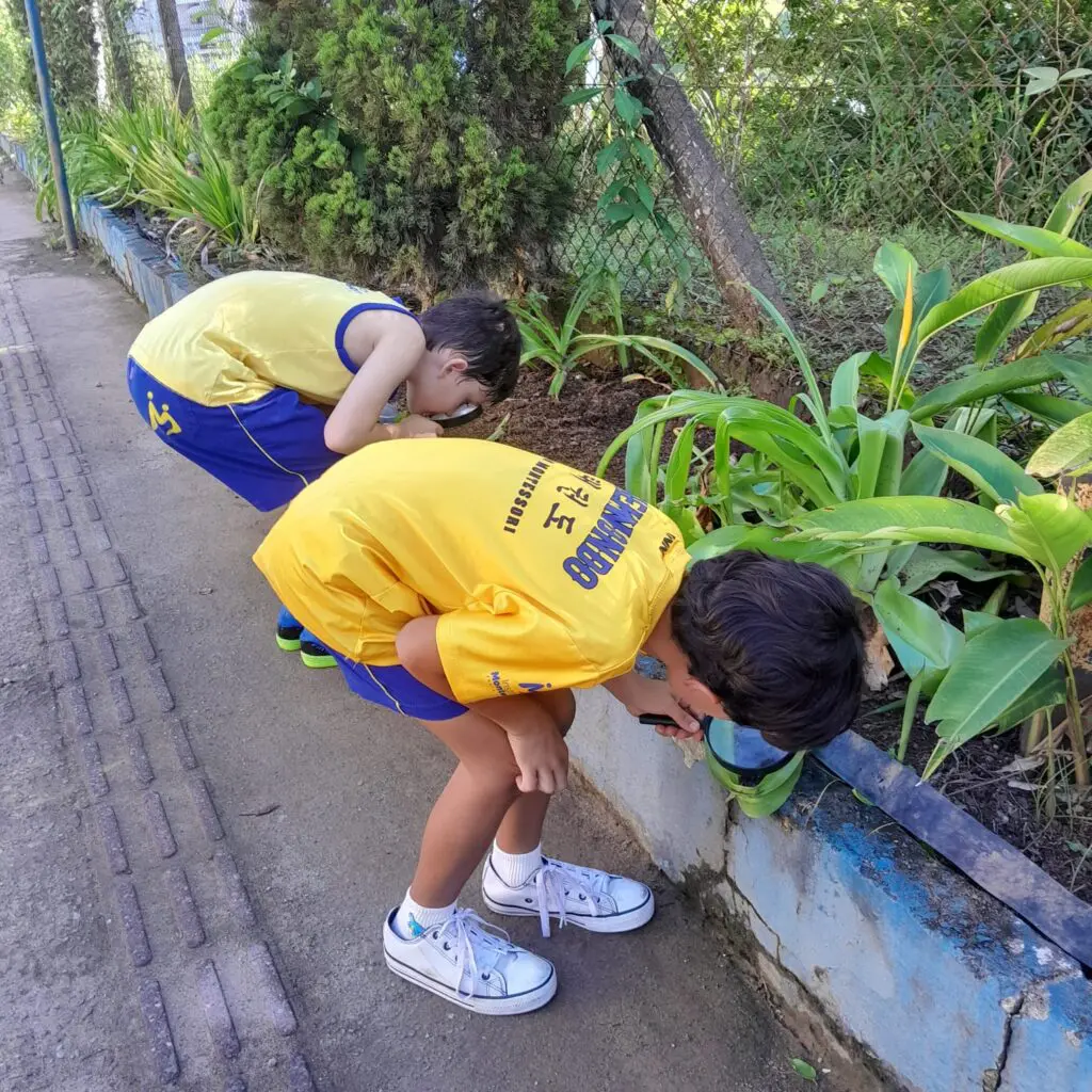 WhatsApp Image 2026-02-26 at 15.04.42