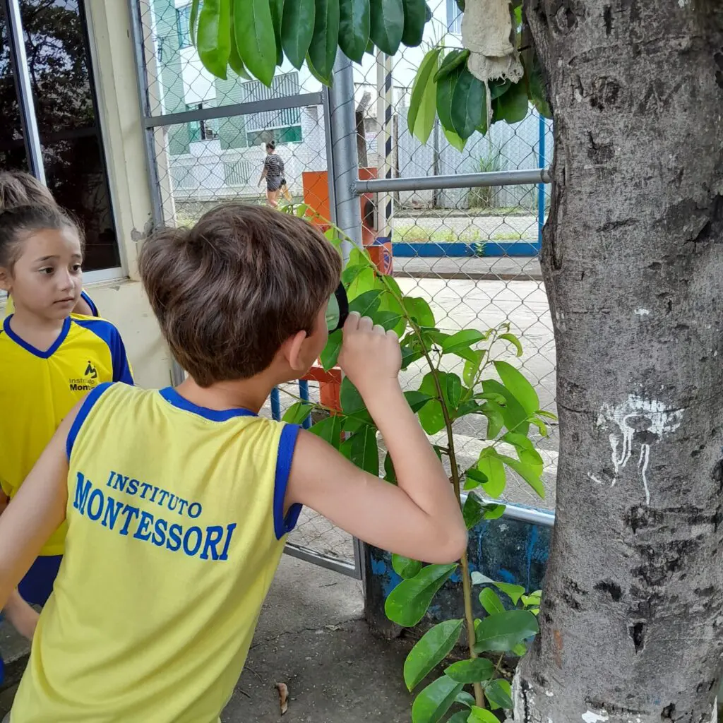 WhatsApp Image 2026-02-26 at 15.04.43 (1)