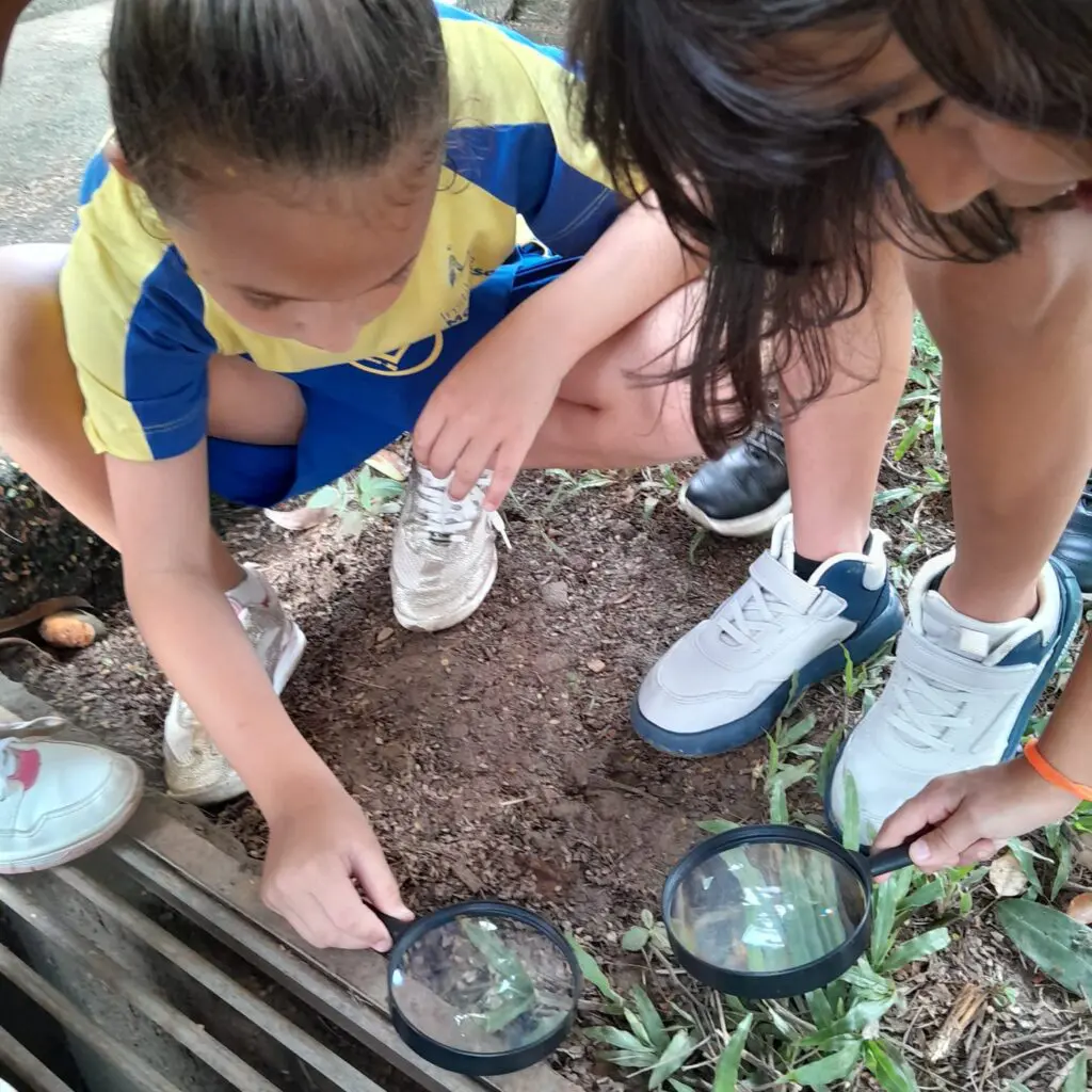 WhatsApp Image 2026-02-26 at 15.04.48 (1)