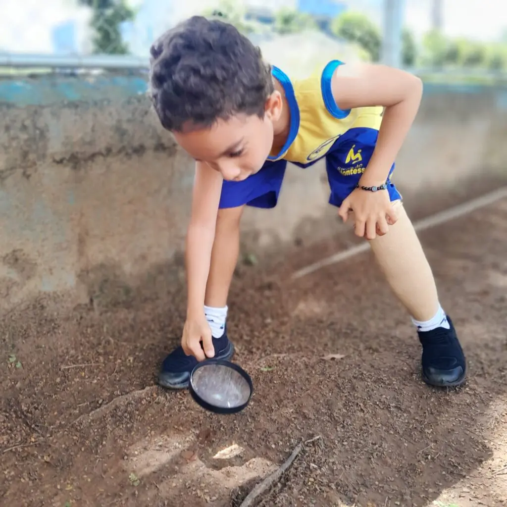 WhatsApp Image 2026-02-26 at 15.04.49