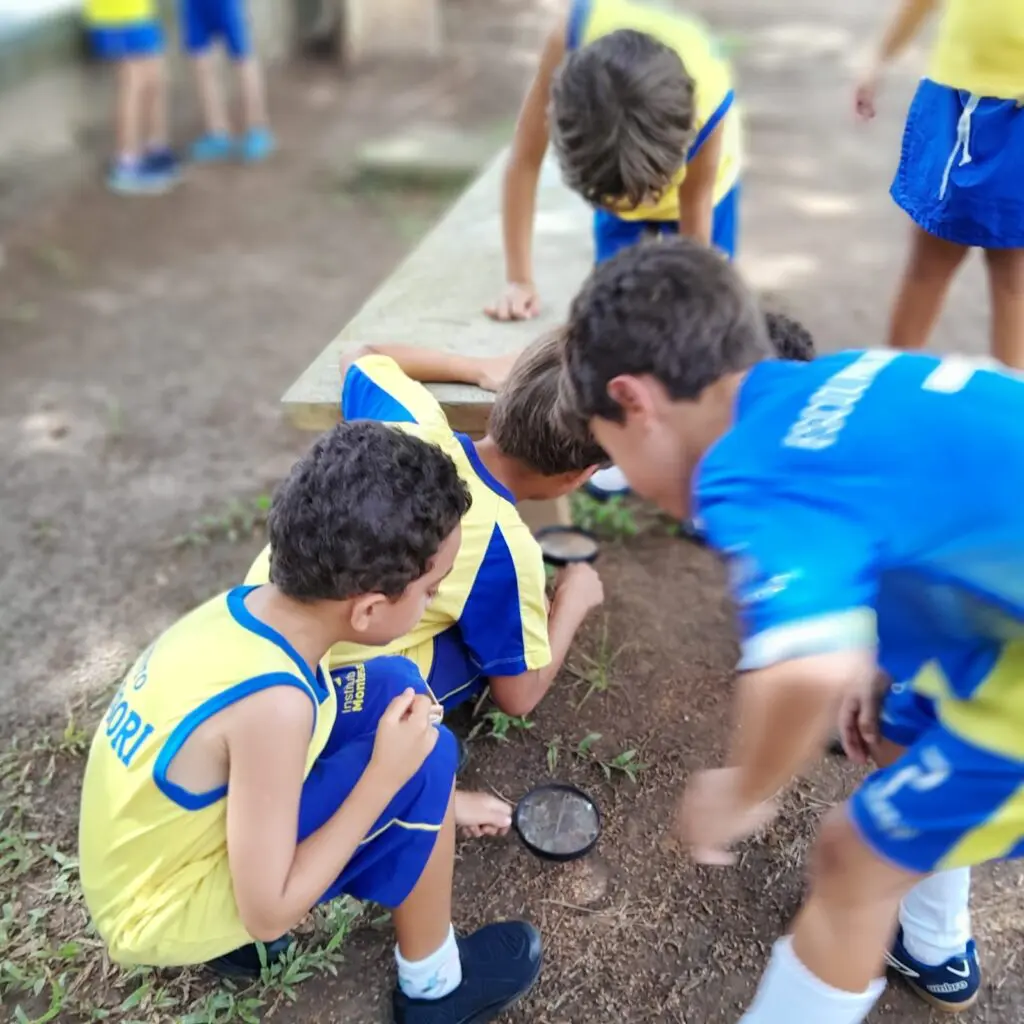 WhatsApp Image 2026-02-26 at 15.04.49 (2)