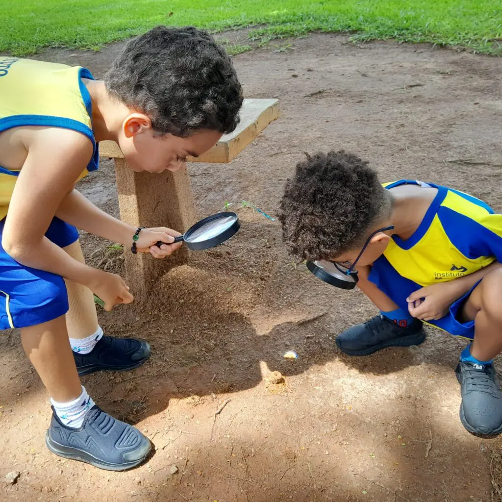 WhatsApp Image 2026-02-26 at 15.04.52