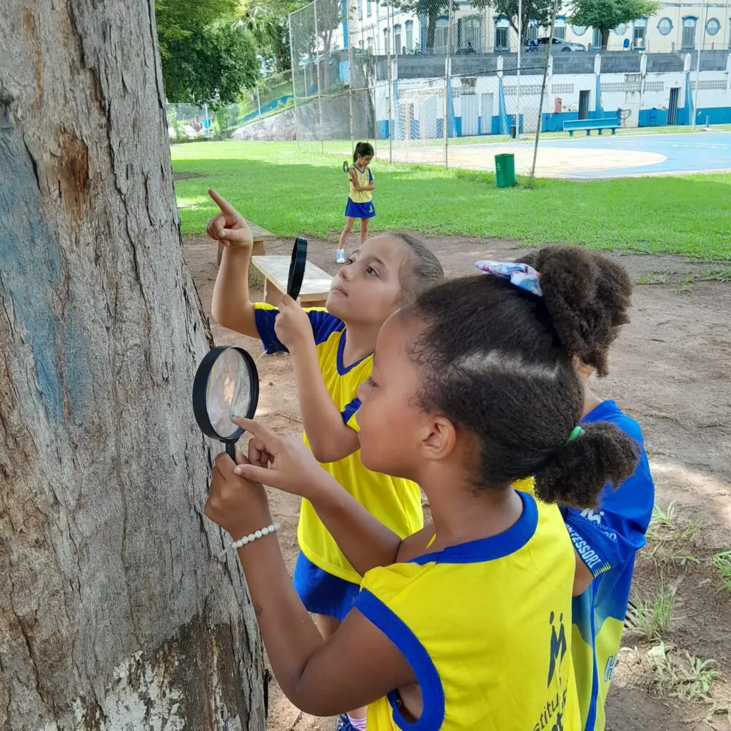 WhatsApp Image 2026-02-26 at 15.04.53 (1)